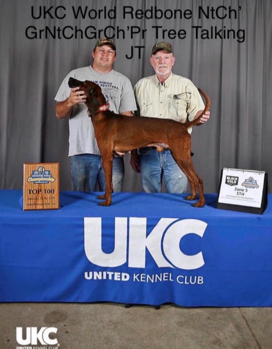 Ukc hot sale redbone coonhound